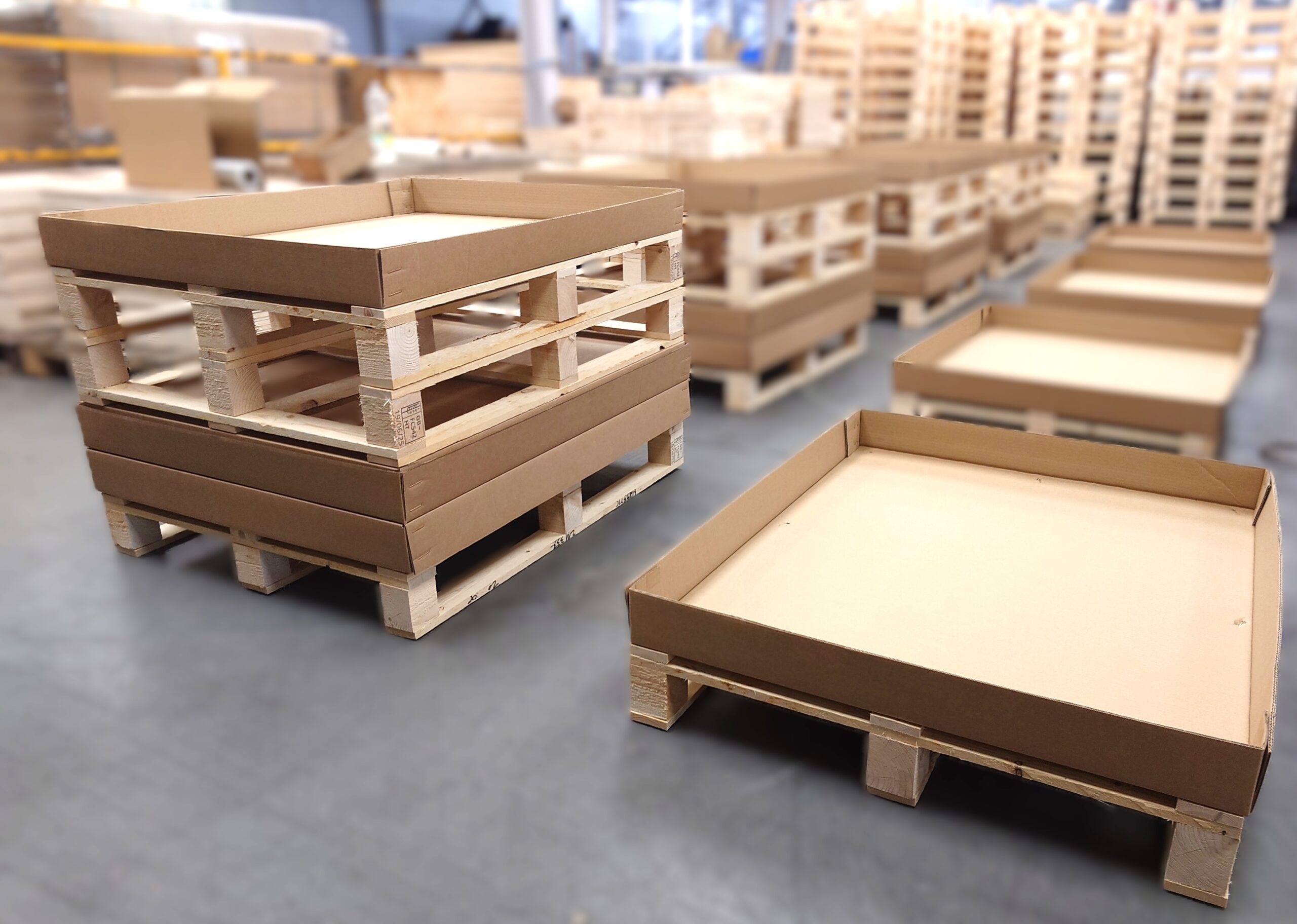 Hybrid Packaging