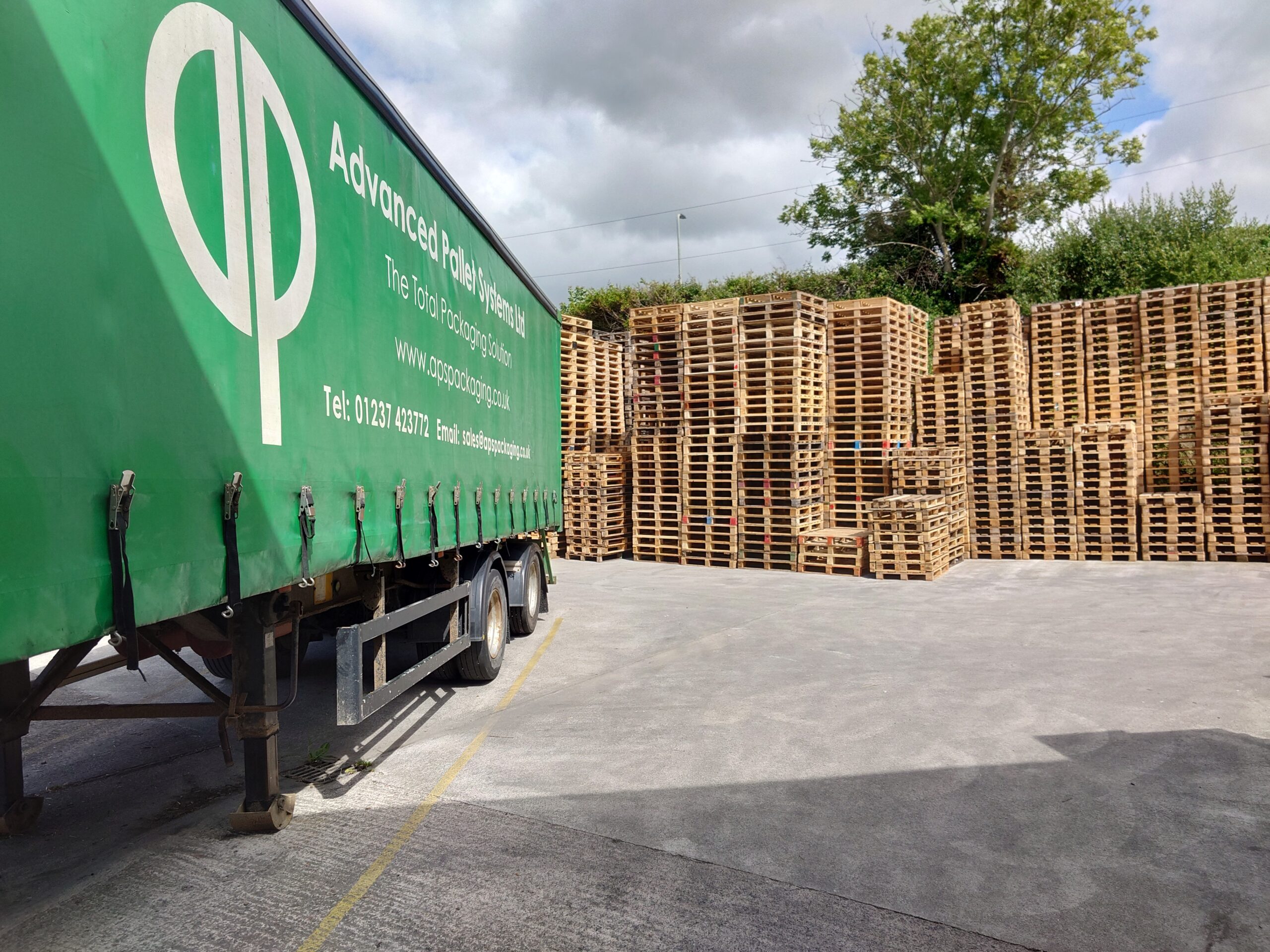 Used Pallets